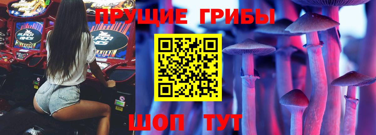 что такое   Вход с VPN  Славянск-на-Кубани  Галлюциногенные грибы прущие грибы 